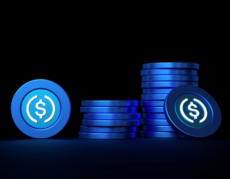 Usdc E Vs Usdc Explained
